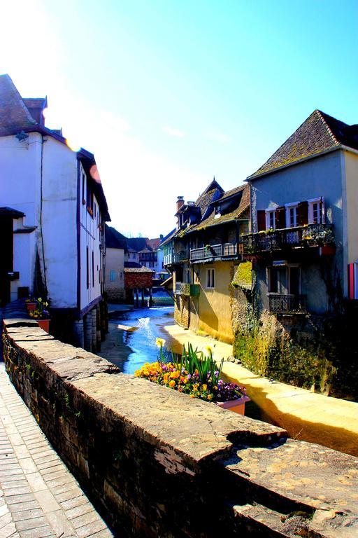 Les Pavillons Du Rooy Apartment Salies-de-Bearn Bagian luar foto